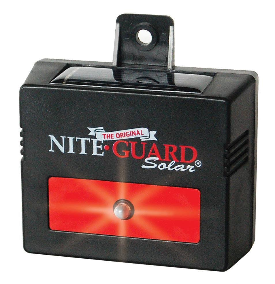 Nite Guard Solar